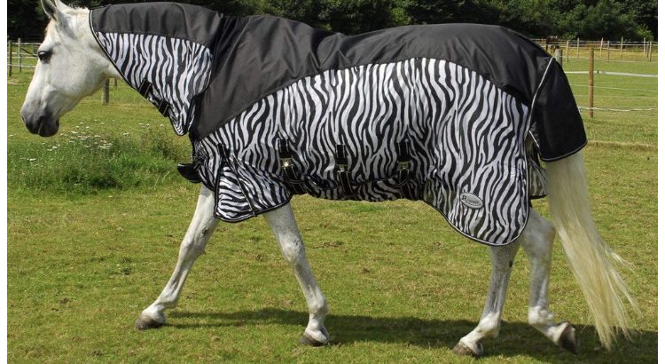 Rhinegold Masai Combined Horse or Pony Fly rug with added Turnout Protection Zebra Design All Sizes