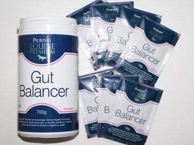 Protexin Gut Balancer 700g + 7 FREE 10g sachets (10% extra free)