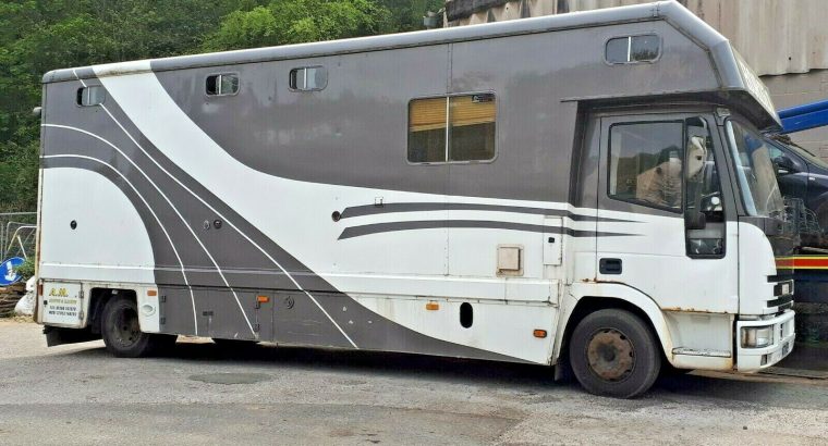Ford Iveco Horse Box